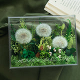 Enchanted Preserved Flower Box