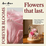 Sora Preserved Flower Dome