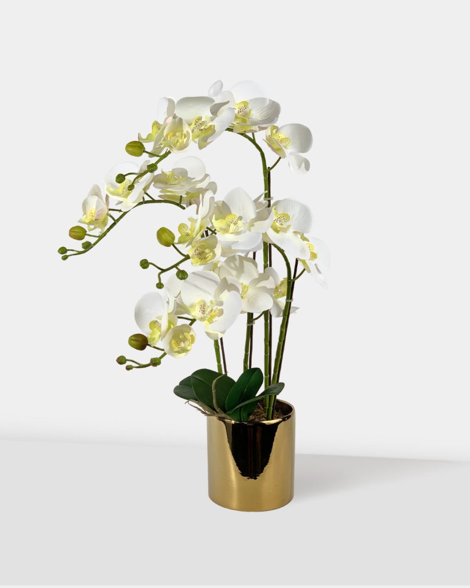 Artificial Crown Phalaenopsis (Life - like Artificial) - Plant Arrangement - white - Preserved Flowers & Fresh Flower Florist Gift Store