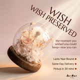 Dandelion Daphne Blowball - Flowers - Champagne - Preserved Flowers & Fresh Flower Florist Gift Store