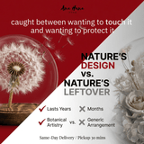 Dandelion Daphne Blowball - Flowers - Champagne - Preserved Flowers & Fresh Flower Florist Gift Store