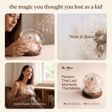 Dandelion Daphne Blowball - Flowers - Champagne - Preserved Flowers & Fresh Flower Florist Gift Store