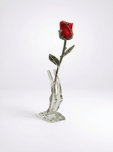 Eternal Rose - Roses That Last Forever - Flowers - Red - Preserved Flowers & Fresh Flower Florist Gift Store