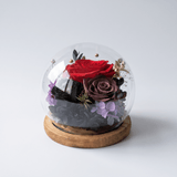 Rose Blowball - Red - Flowers - Preserved Flowers & Fresh Flower Florist Gift Store