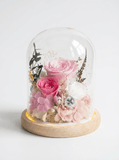 Sora Preserved Flower Dome - Flowers - Cherry Pink - Preserved Flowers & Fresh Flower Florist Gift Store