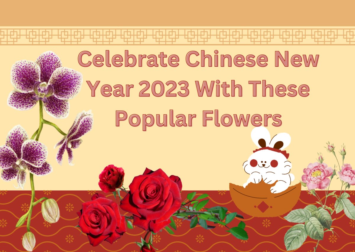 Celebrate Chinese New Year 2023 With These Popular Flowers - Ana Hana Flower