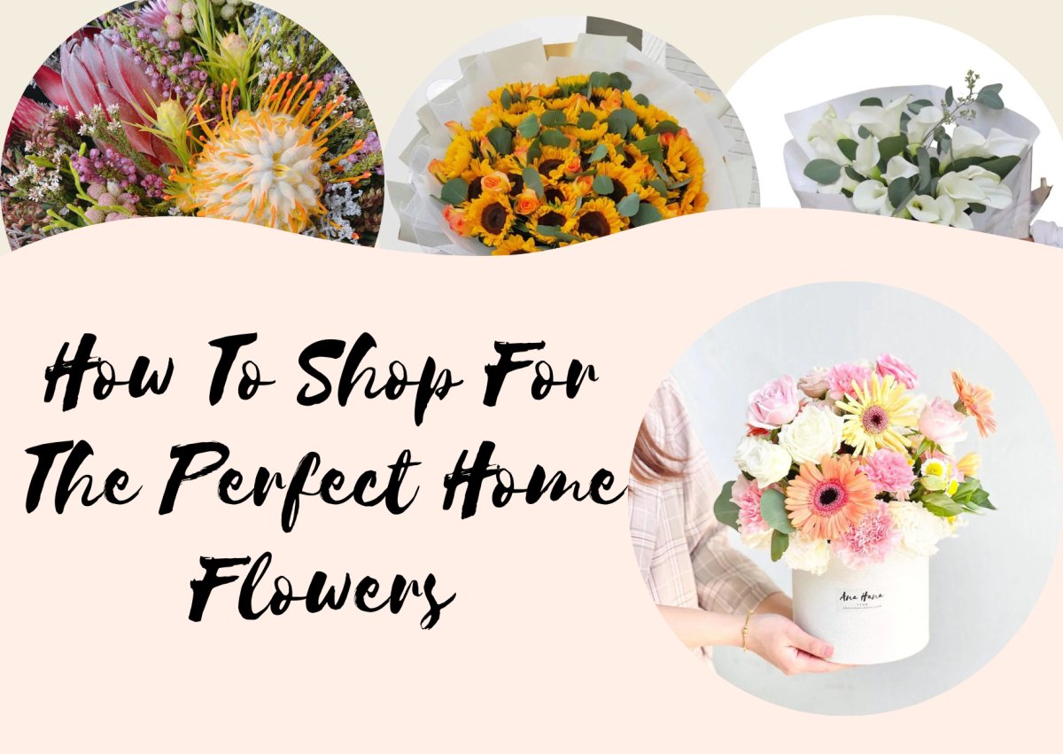 How To Shop For The Perfect Home Flowers - Ana Hana Flower