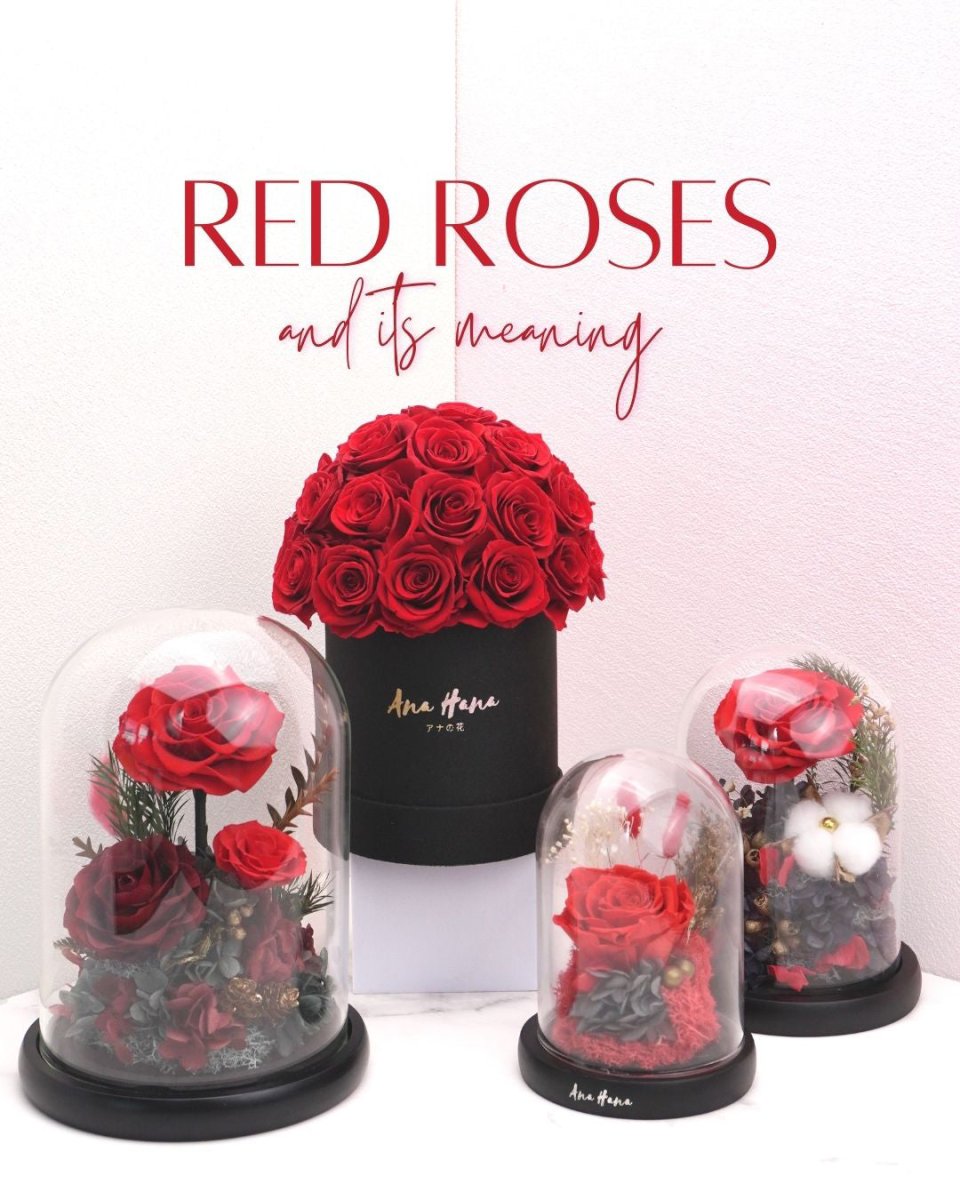 Red Roses and its meaning - Ana Hana Flower