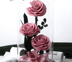 3 Rose - Single Preserved Rose - Preserved Flower Dome - Flowers - blush pink - Preserved Flowers & Fresh Flower Florist Gift Store