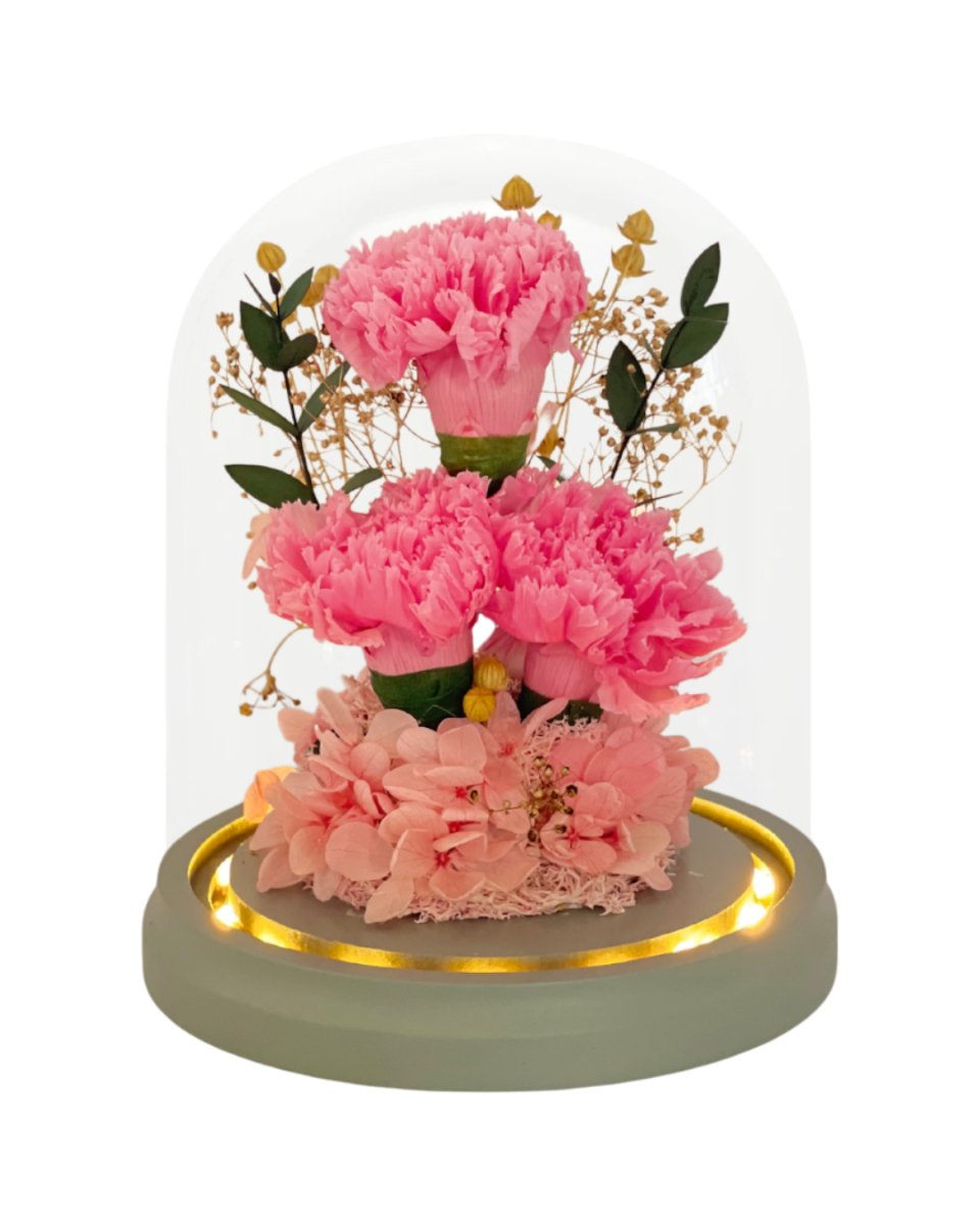 Daichi Carnation Dome - Pink - Flowers - Preserved Flowers & Fresh Flower Florist Gift Store