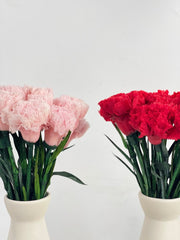 Everlasting Carnation - Flowers - 12 Carnation - Preserved Flowers & Fresh Flower Florist Gift Store