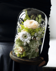 Gardenia Bell Dome - Flowers - Champagne Bubbles - Preserved Flowers & Fresh Flower Florist Gift Store