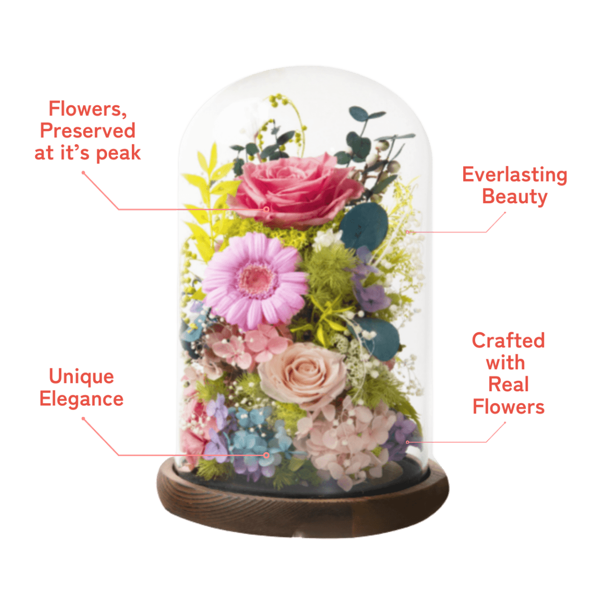 Gardenia Bell Dome - Flowers - Whimsical Garden - Preserved Flowers & Fresh Flower Florist Gift Store