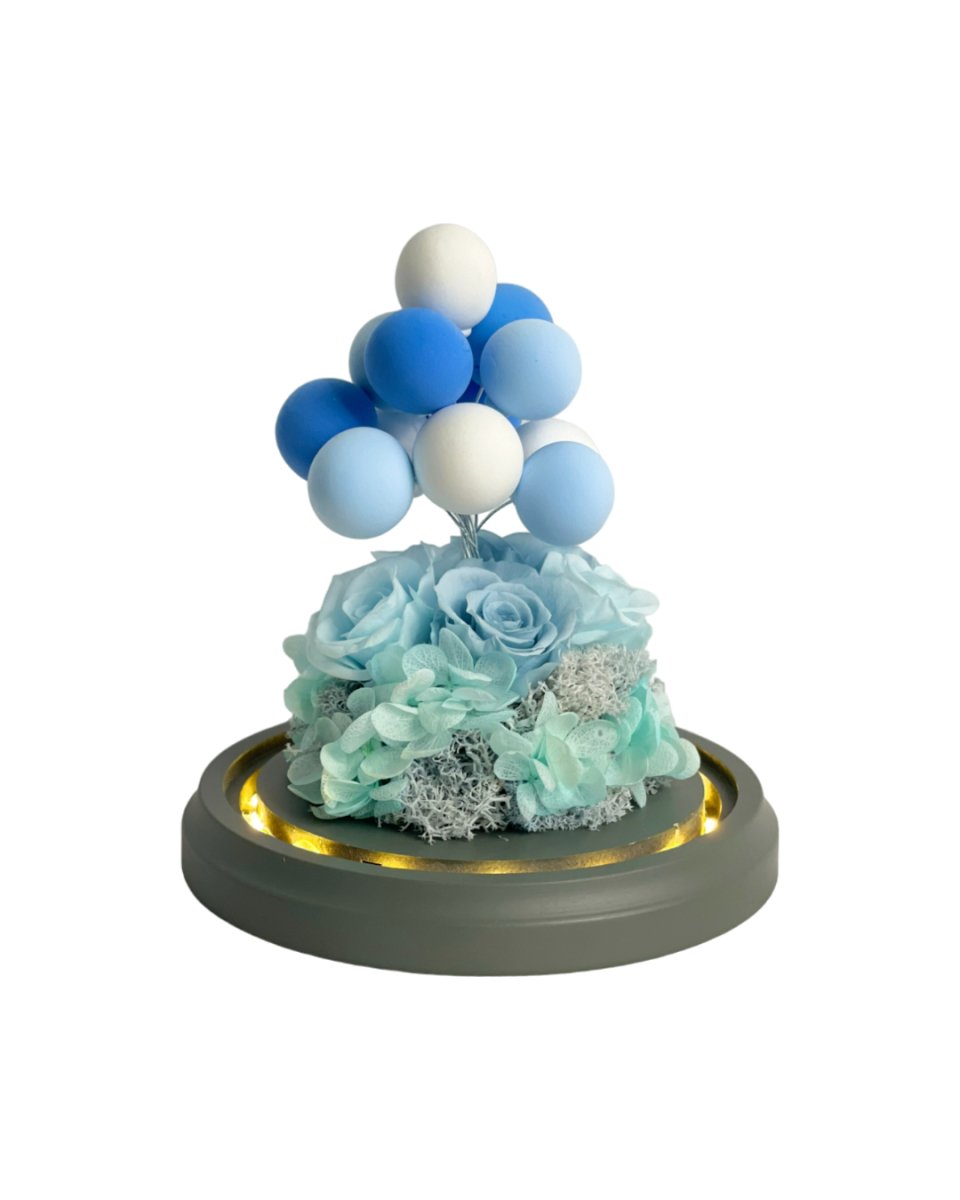 Pompom Boru Flowers - Flowers - Blue - Preserved Flowers & Fresh Flower Florist Gift Store