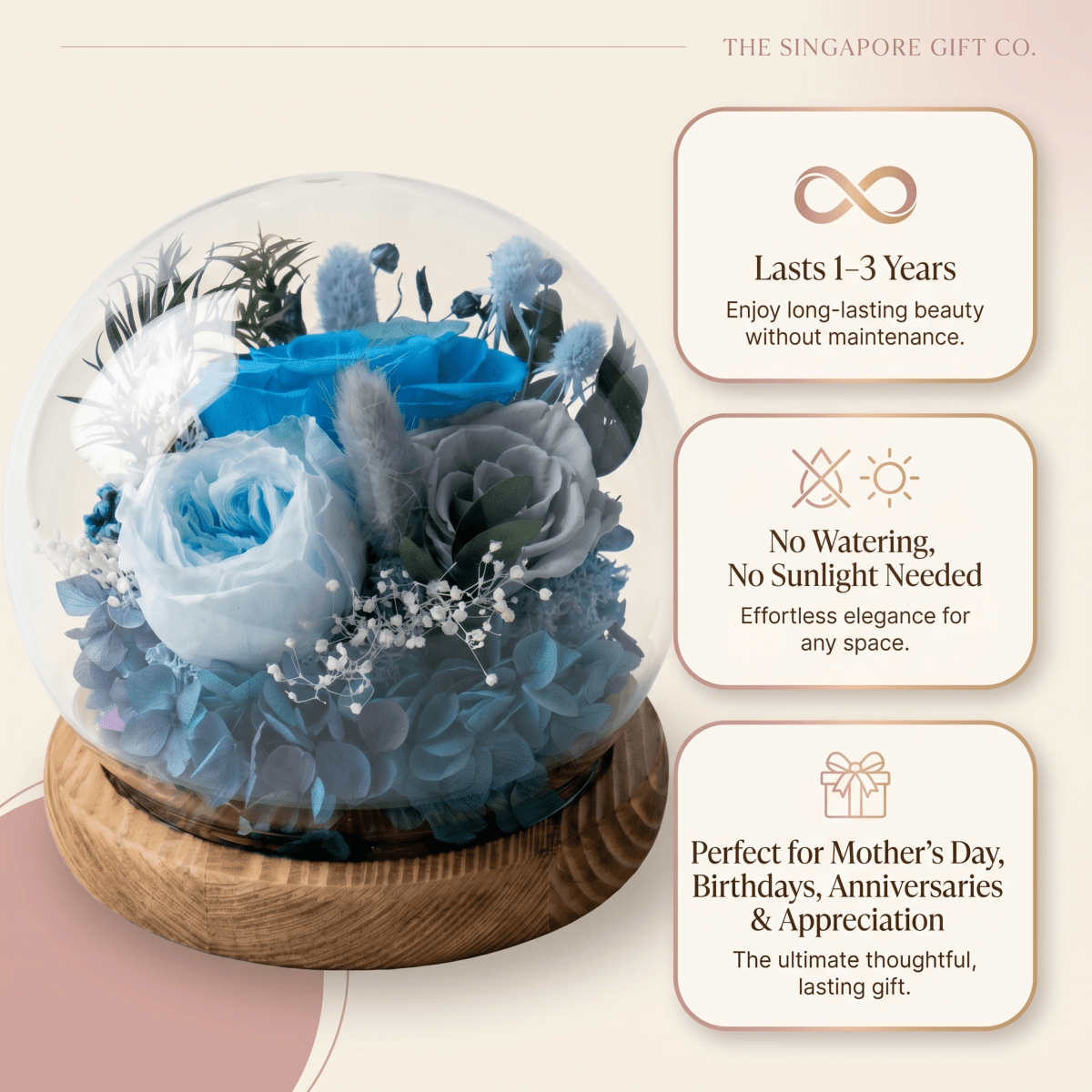 Rose Blowball - Blue - Flowers - Preserved Flowers & Fresh Flower Florist Gift Store