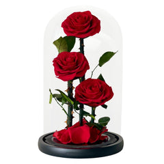 Rosie Red - Flower - Preserved Flowers & Fresh Flower Florist Gift Store