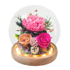 Carnation Blowball - Magenta (with gift box)