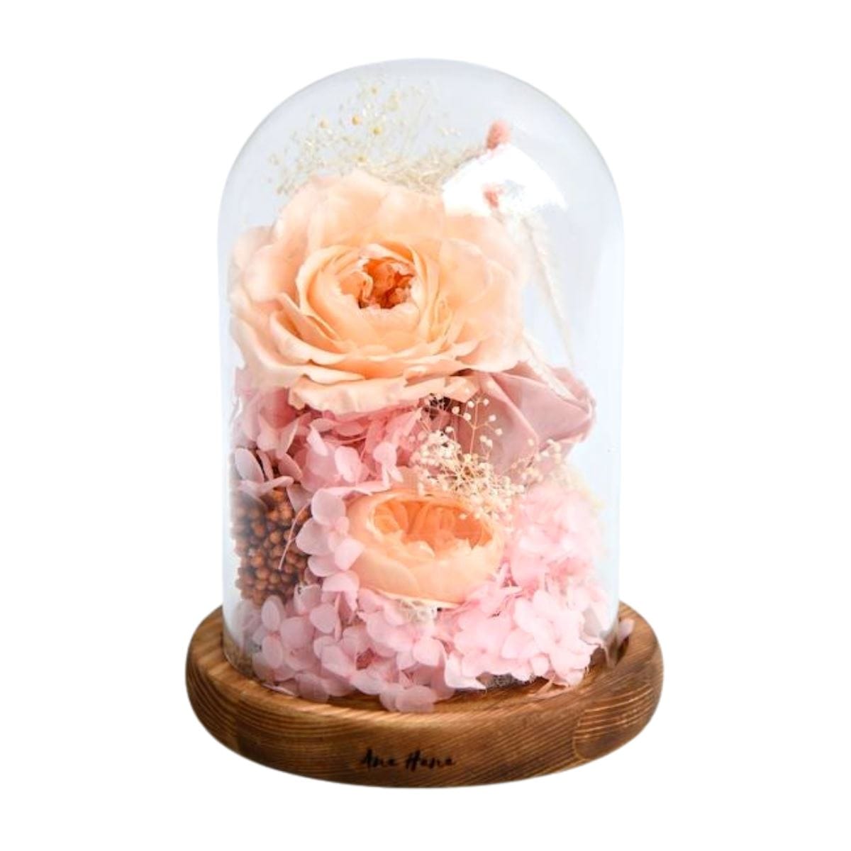 Aurora Flower Dome - Flower - Peach - Preserved Flowers & Fresh Flower Florist Gift Store