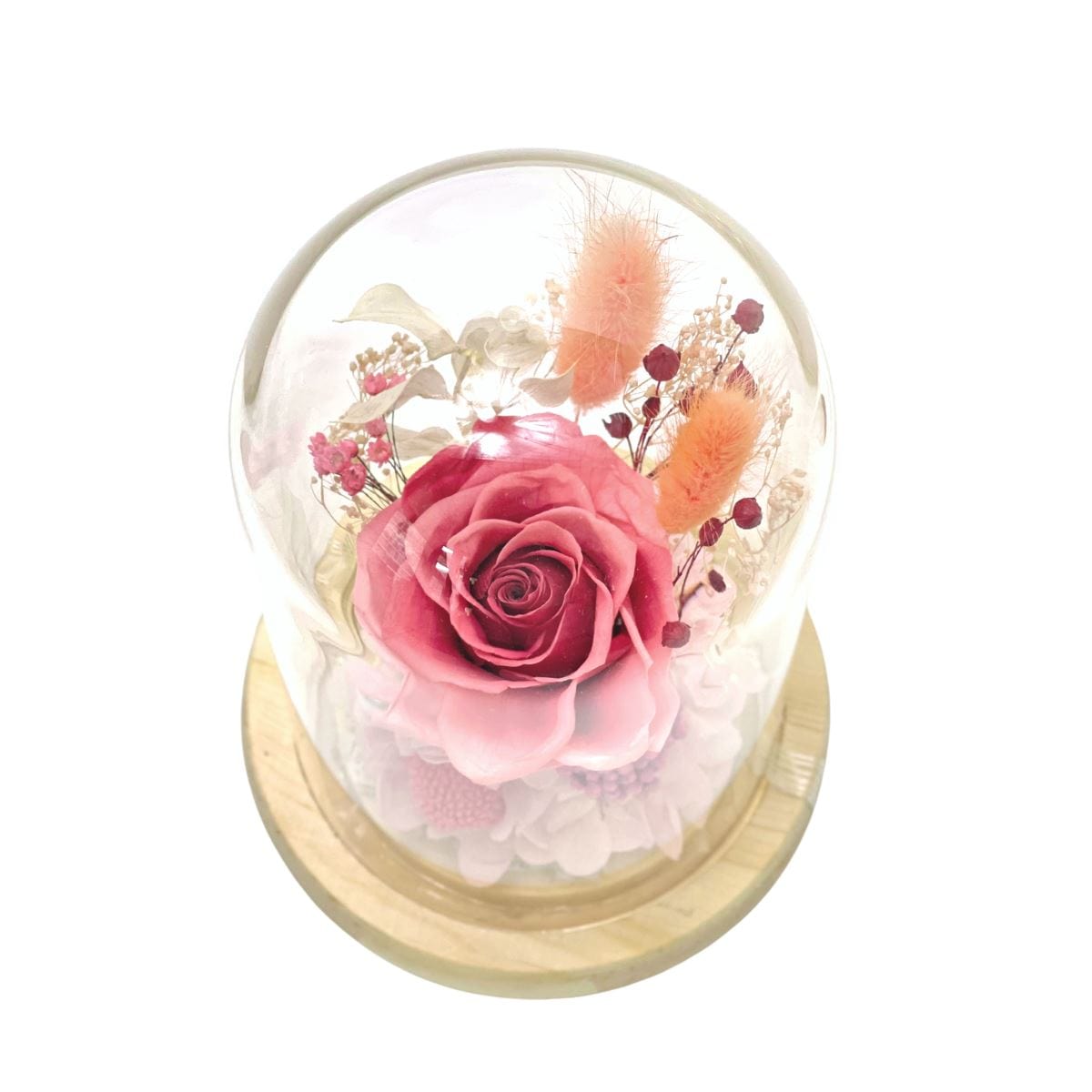 Bubblegum - Flower Dome - Flower - Preserved Flowers & Fresh Flower Florist Gift Store