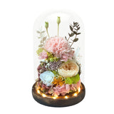 Carnation Bell Dome - Pink Opal (with gift box) - Flower - Preserved Flowers & Fresh Flower Florist Gift Store