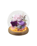 Carnation Blowball - Purple (with gift box) - Flower - Preserved Flowers & Fresh Flower Florist Gift Store
