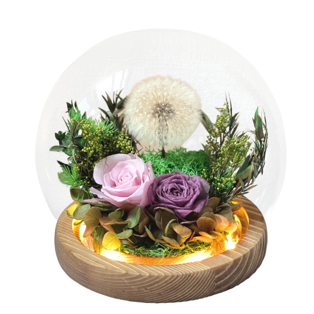 Dandelion Blowball Preserved Flower Dome - Lilac - Flower - Preserved Flowers & Fresh Flower Florist Gift Store