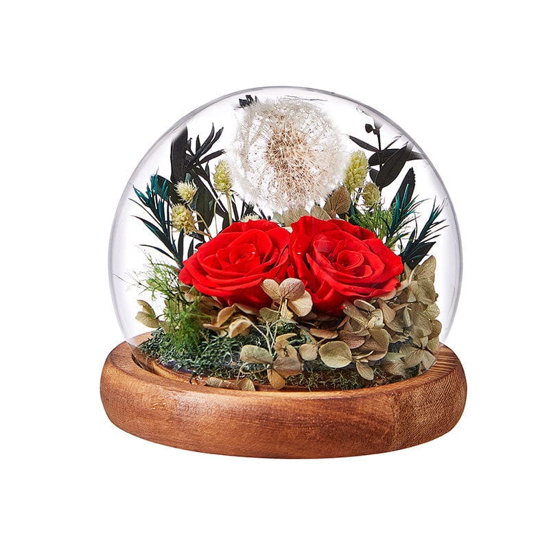 Dandelion Blowball Preserved Flower Dome - Red - Flower - Preserved Flowers & Fresh Flower Florist Gift Store