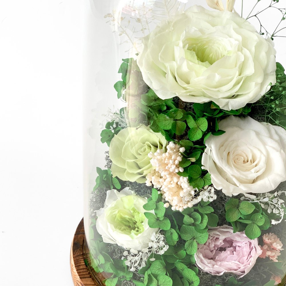 Hazel Roses (large dome with gift box) - Flower - Viridian Green - Preserved Flowers & Fresh Flower Florist Gift Store