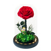 Little Prince, Red Rose