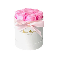 Preserved Rose Bucket Bloom Box バケツバラ - Pink - Flower - Original - Preserved Flowers & Fresh Flower Florist Gift Store
